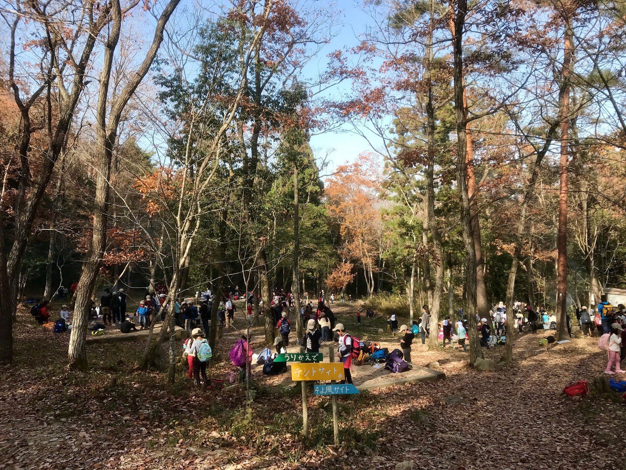 冬のデイキャンプ12月6日（日）